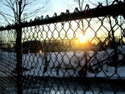 Tips for Maintaining Your Chain Link Fence