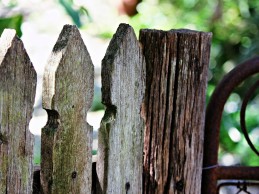Painting your wood fence